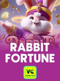 Apoio Especializado para Usuários VIP